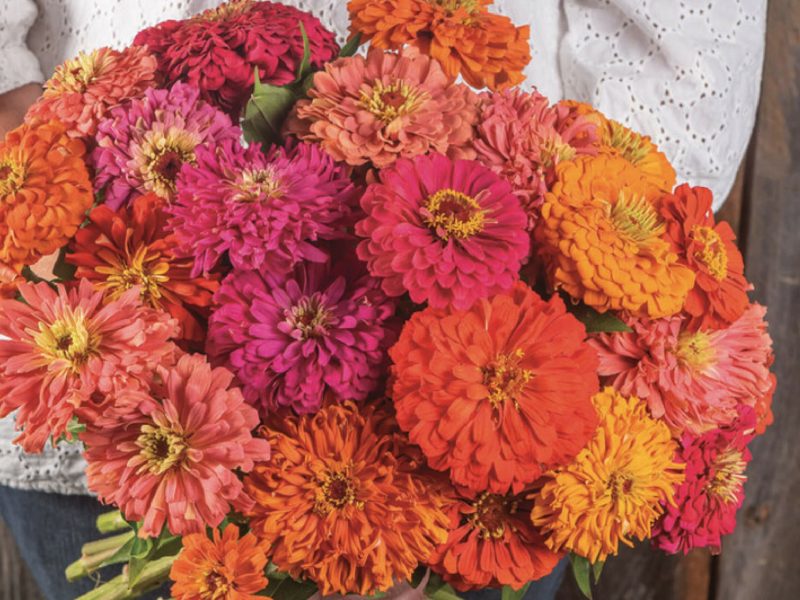 Flower-Jim-baggetts