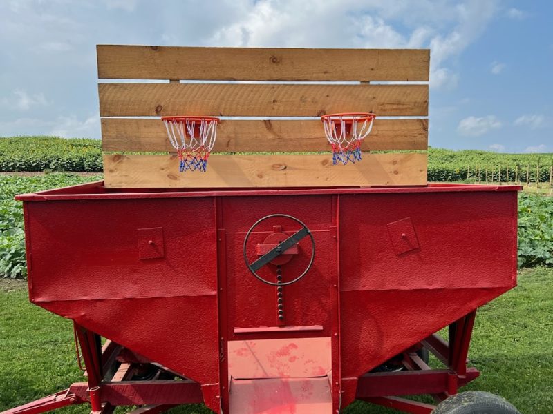 Gravity wagon basketball