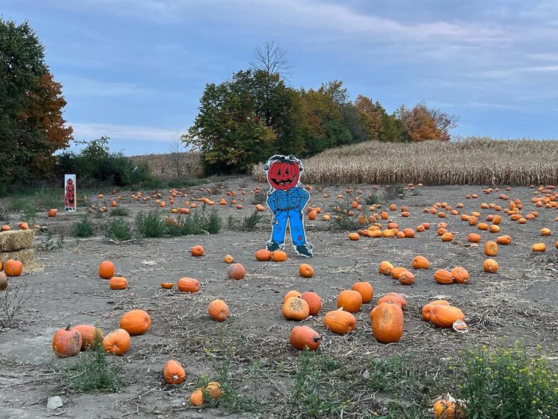 Pumpkin-bowling